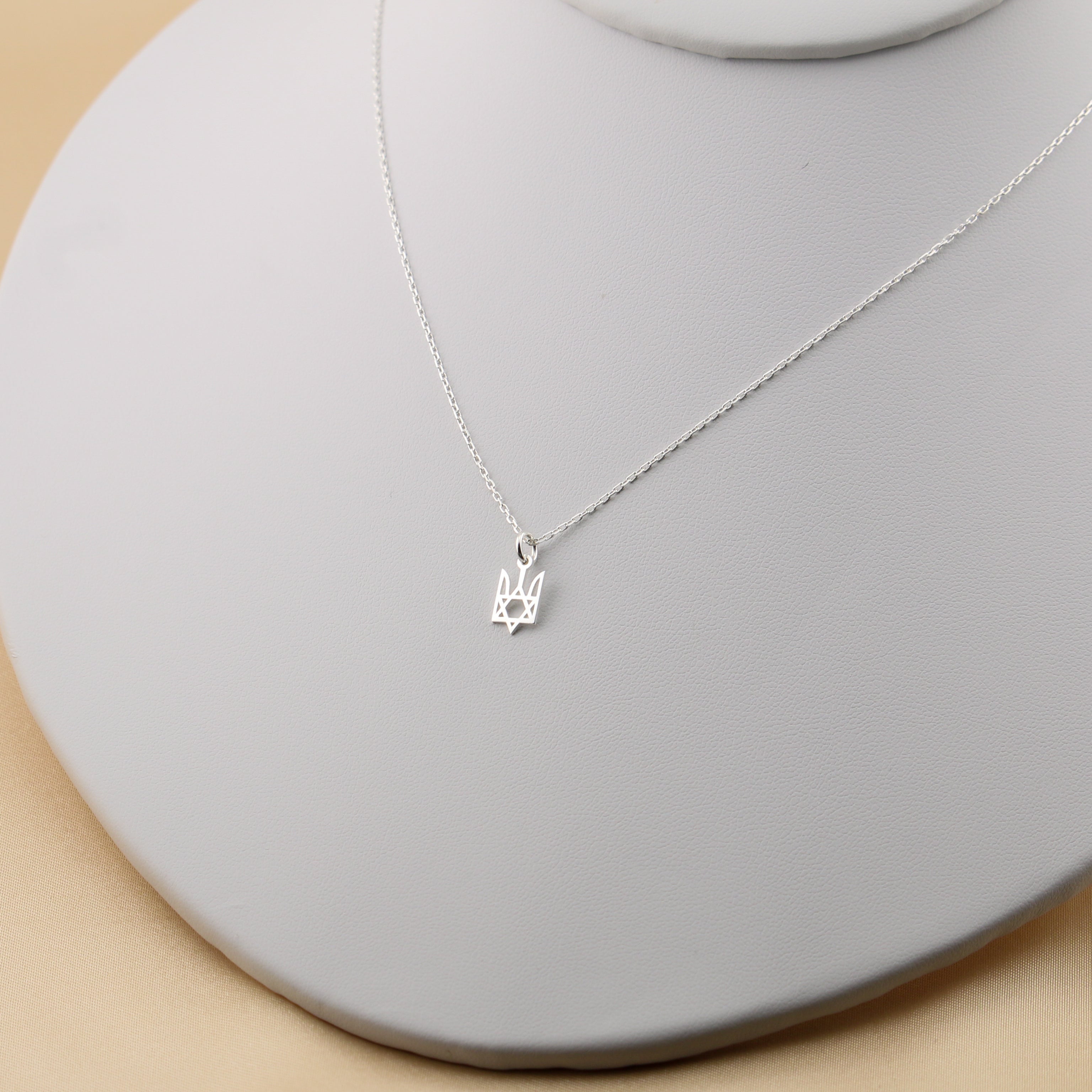 Ukraine and star of david necklace in sterling silver